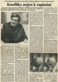 Newspaper Hradecké noviny – Pochodeň Daily, 11th November 1992