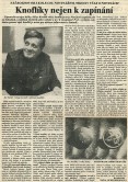 Newspaper Hradeck noviny  Pochode Daily, 11th November 1992