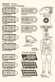 Identification - USA 1943 - 31