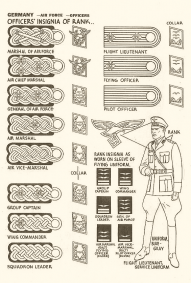 Identification - USA 1943 - 33