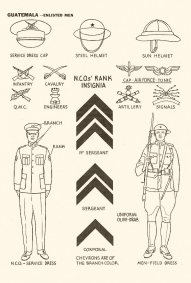 Identification - USA 1943 - 36