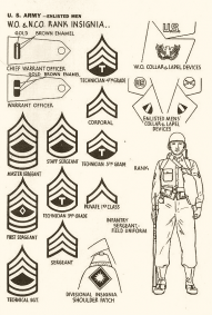 Identification - USA 1943 - 55