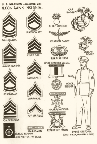 Identification - USA 1943 - 60