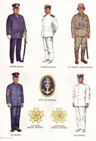 Uniformy japonské císařské armády 5