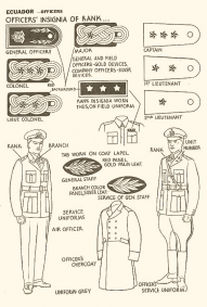 Identification - USA 1943 - 23
