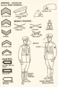 Identification - USA 1943 - 49